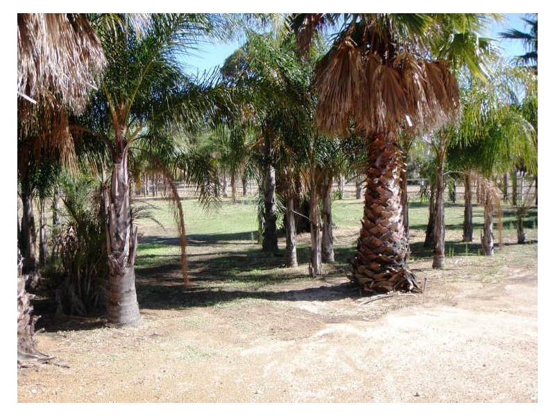 125 Hilbert Road, Hilbert WA 6112