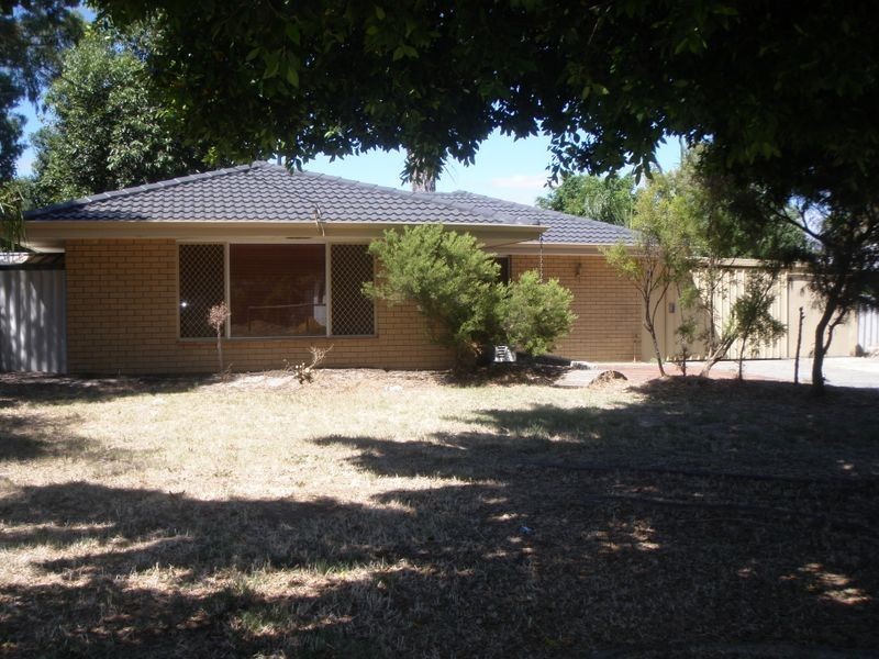 41 Cowan Street, Armadale WA 6112