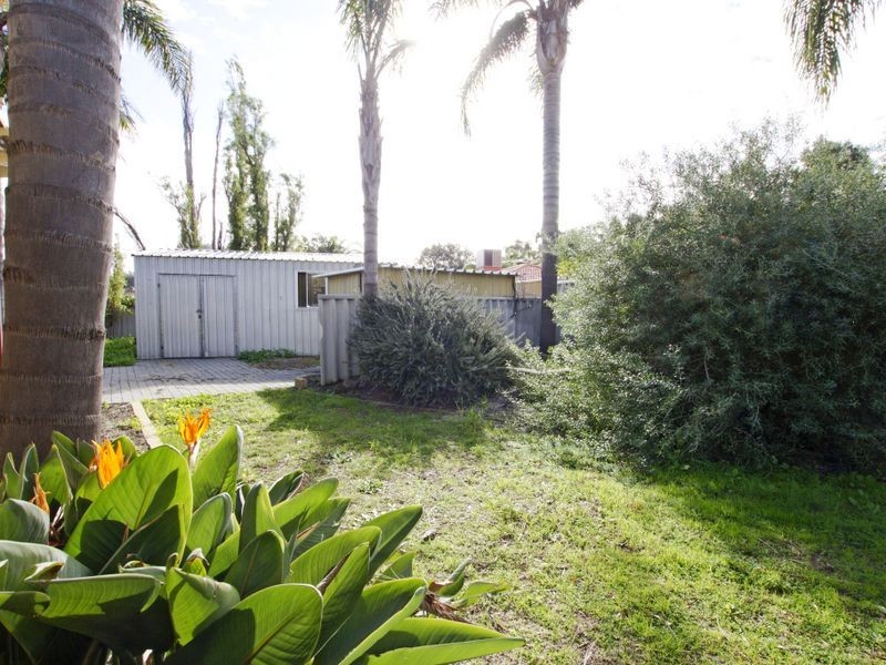 3 Braemore Street, Seville Grove WA 6112