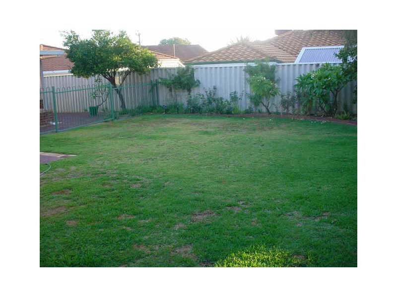 5 Berrigan Street, Nollamara WA 6061