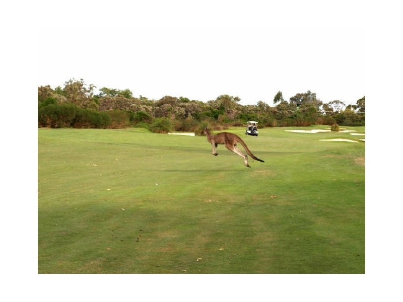 34 Santa Paula Lane, The Vines WA 6069