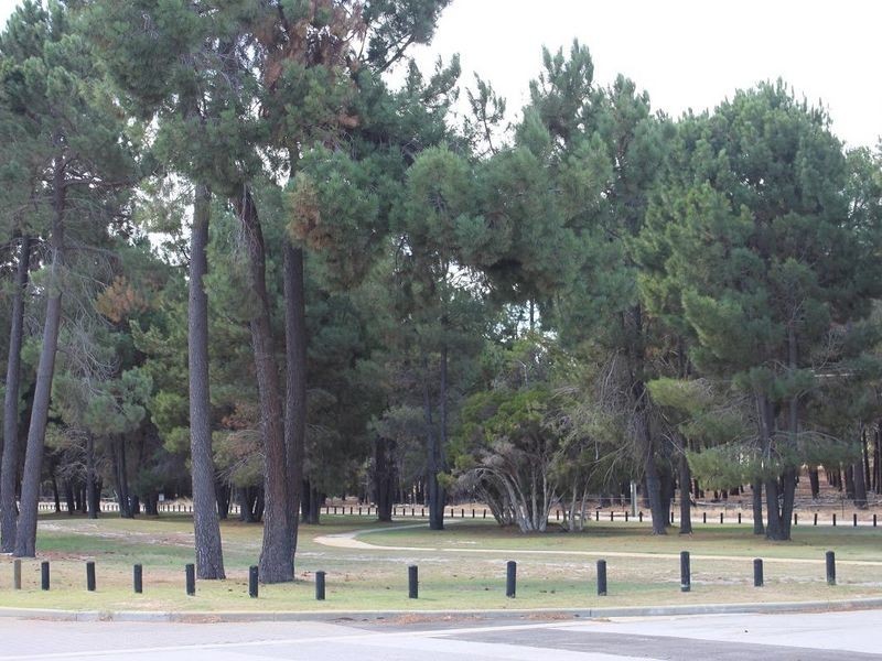 31 Vaucluse Crescent, Ellenbrook WA 6069