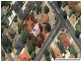 211 Gabriel Street, Cloverdale WA 6105
