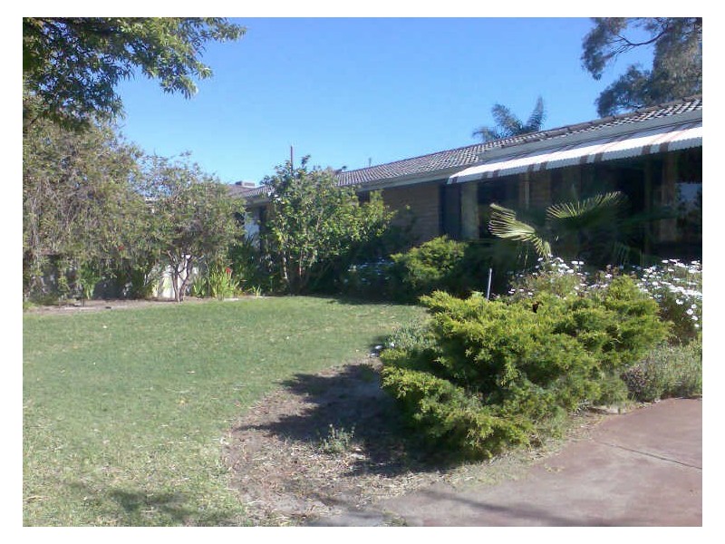 29 Paltridge Avenue, Carlisle WA 6101