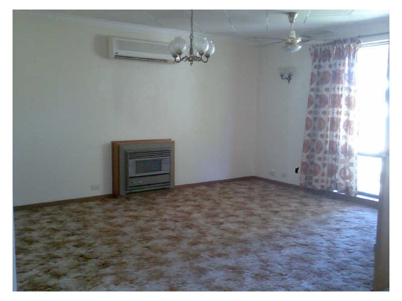 29 Paltridge Avenue, Carlisle WA 6101