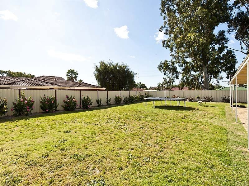 2 Grebe Court, High Wycombe WA 6057