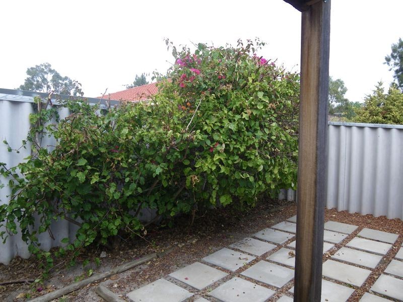 8 Firby Street, Cloverdale WA 6105