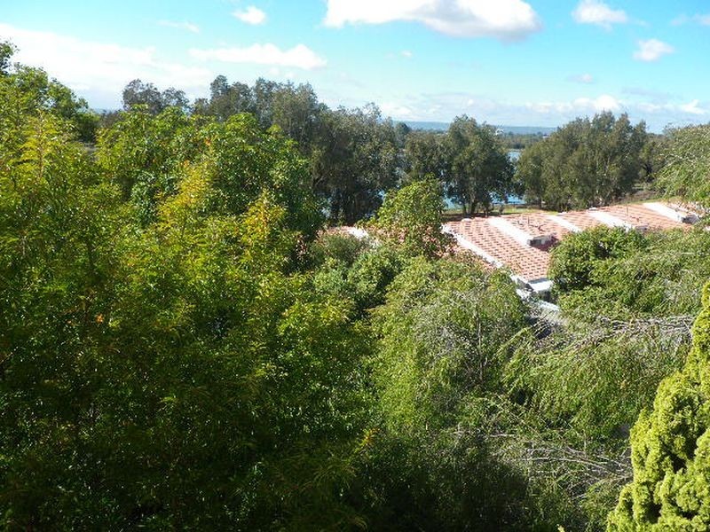 53/12 Wall Street, Maylands WA 6051