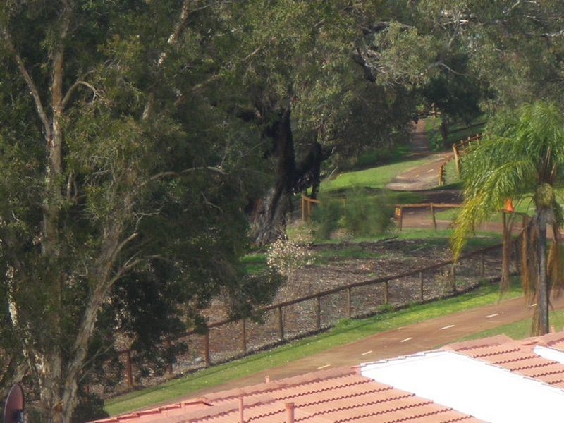 53/12 Wall Street, Maylands WA 6051