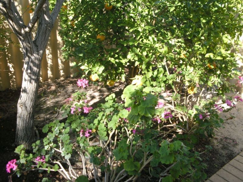 8 Wagstaff Road, Redcliffe WA 6104