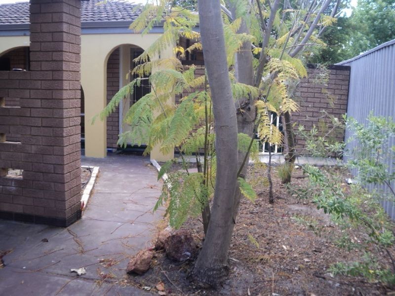 211B Orrong Road, Rivervale WA 6103