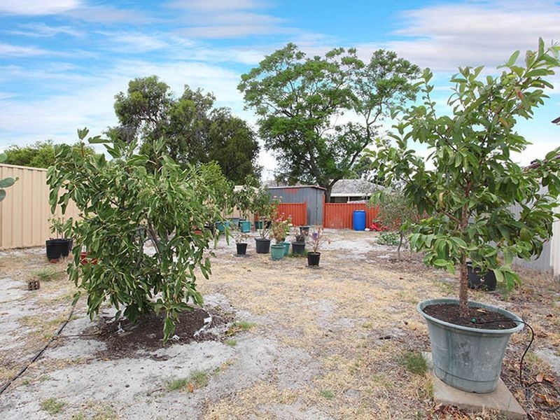 5 Grant place, Bentley WA 6102