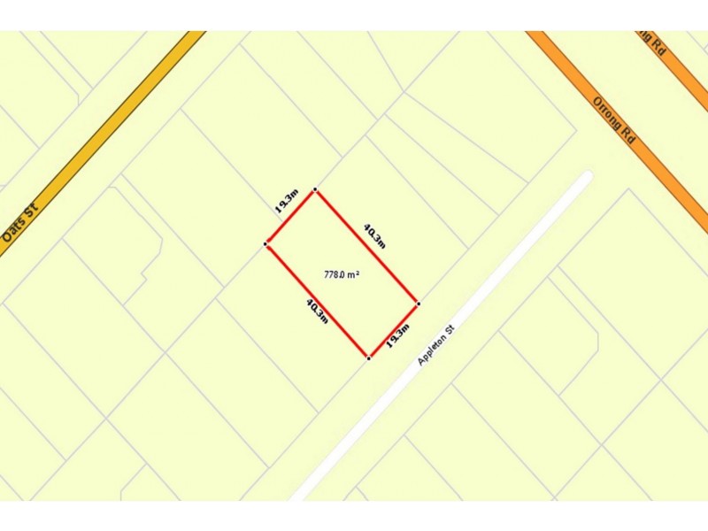 17 Appleton Street, Carlisle WA 6101