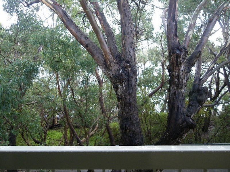 31/2 Brighton Road, Rivervale WA 6103