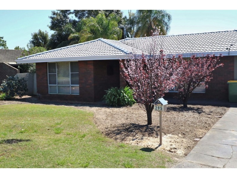 295 Knutsford Avenue, Kewdale WA 6105