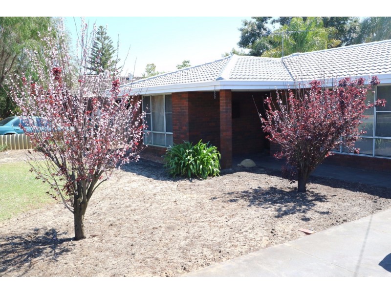 295 Knutsford Avenue, Kewdale WA 6105