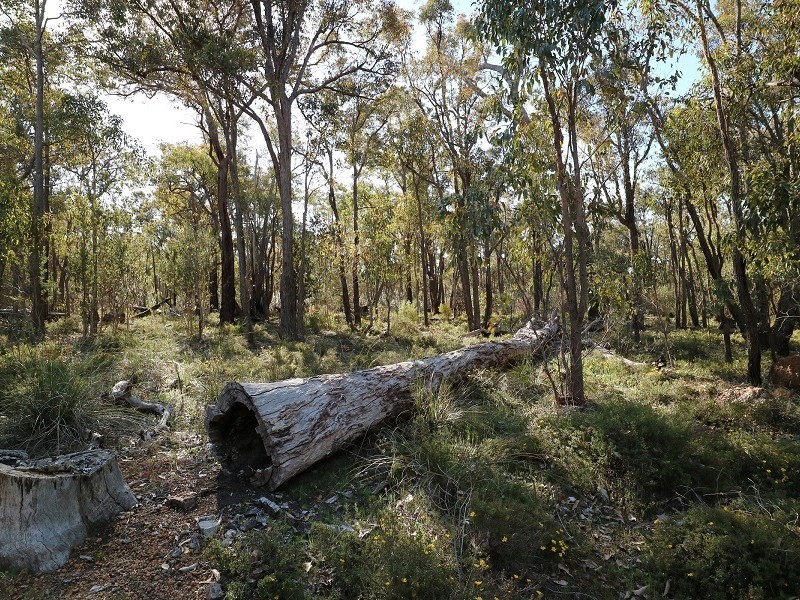 8 Berry Road, Gidgegannup WA 6083