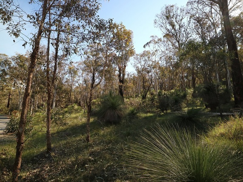 8 Berry Road, Gidgegannup WA 6083