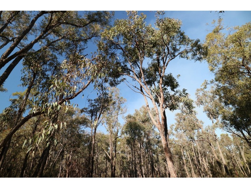 8 Berry Road, Gidgegannup WA 6083