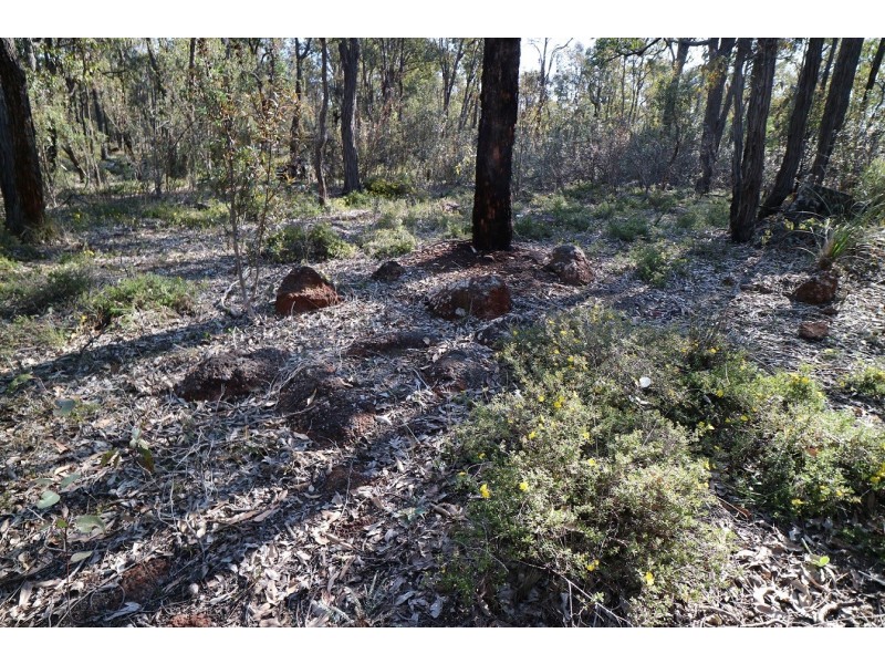 8 Berry Road, Gidgegannup WA 6083