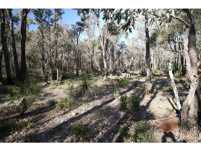 8 Berry Road, Gidgegannup WA 6083