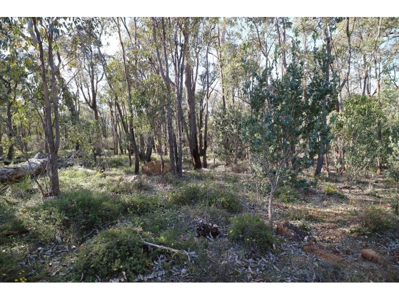 8 Berry Road, Gidgegannup WA 6083