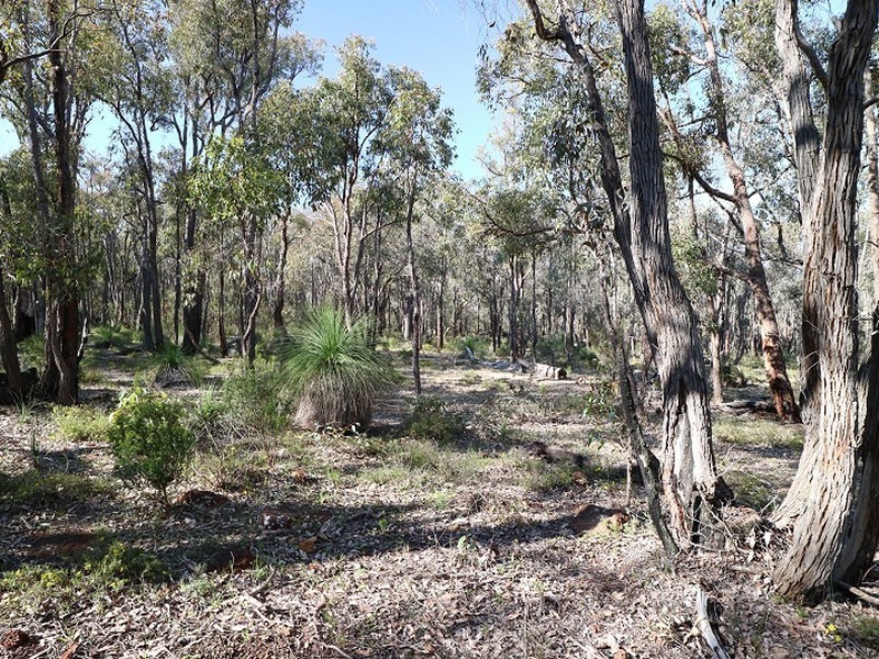 8 Berry Road, Gidgegannup WA 6083
