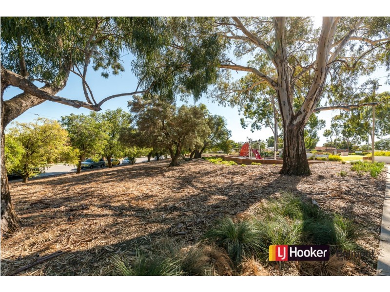 36 Stannard Street, Bentley WA 6102