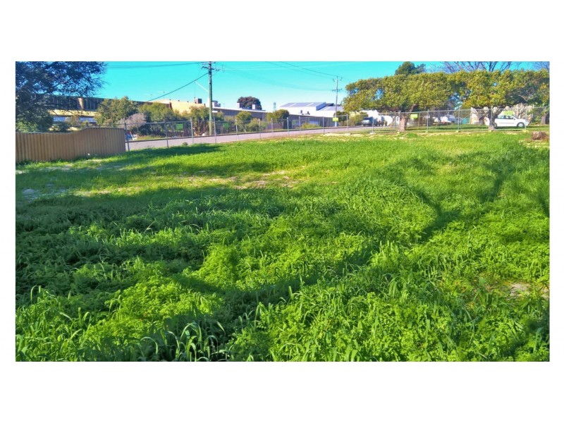 22 Isobel Street, Bentley WA 6102