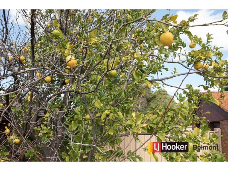 12 Tarrant Way, Bateman WA 6150