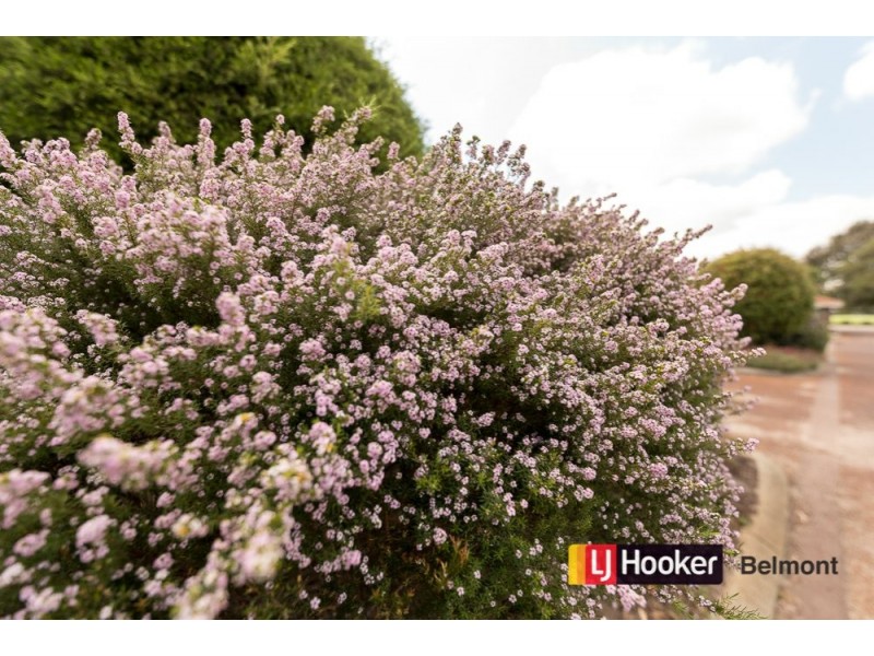 11/81 Sydenham Street, Rivervale WA 6103