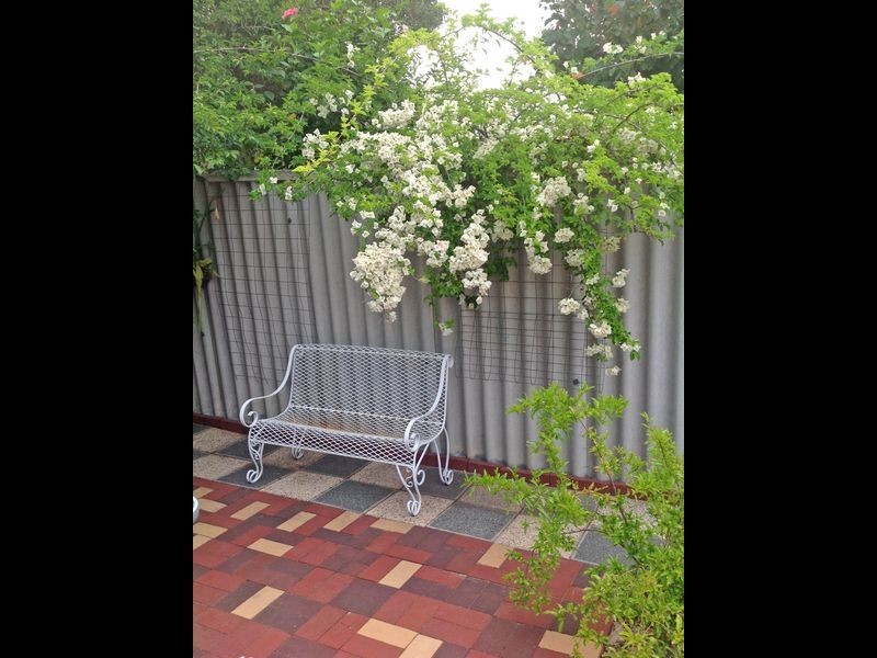 21 Ruan Place, Kewdale WA 6105