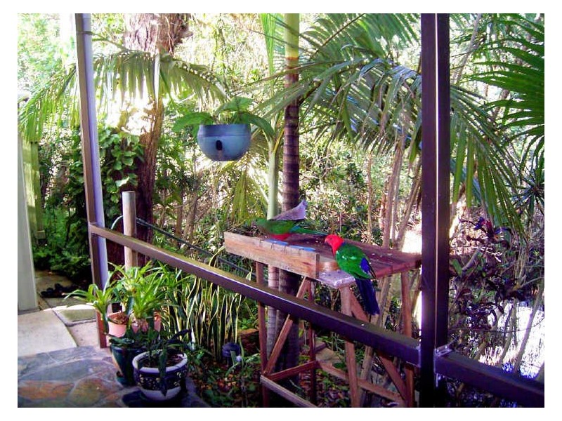 2/64 Blundell Bvd, Tweed Heads South NSW 2486
