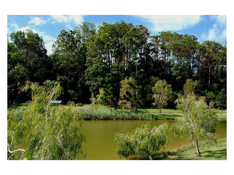 15 Franklin Street, Banora Point NSW 2486
