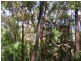 Tugun QLD 4224