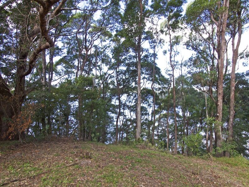 Bilambil Heights NSW 2486