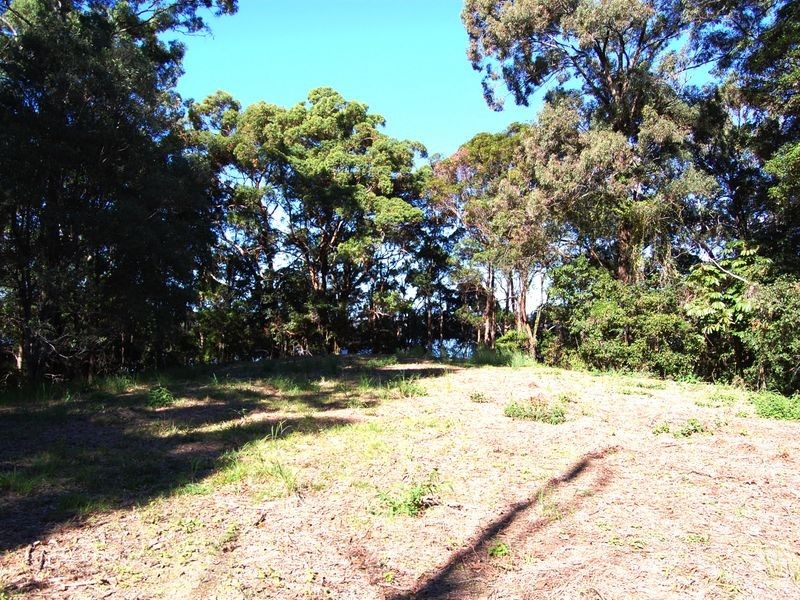 Bilambil Heights NSW 2486