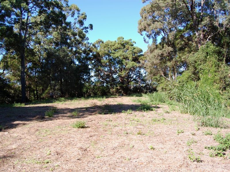 Bilambil Heights NSW 2486