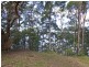 Bilambil Heights NSW 2486