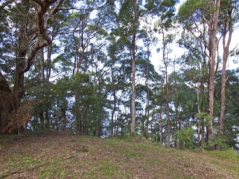 Bilambil Heights NSW 2486