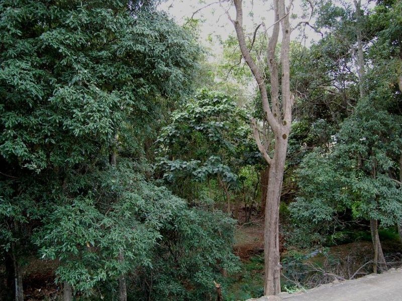 36 Clonakilty, Banora Point NSW 2486