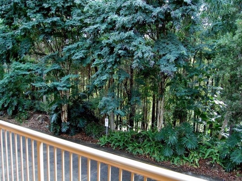 28/5 Clancy Court, Tugun QLD 4224