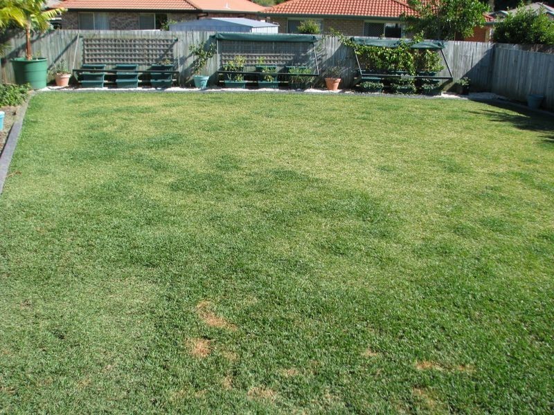 8 Cook Cres, Tweed Heads South NSW 2486