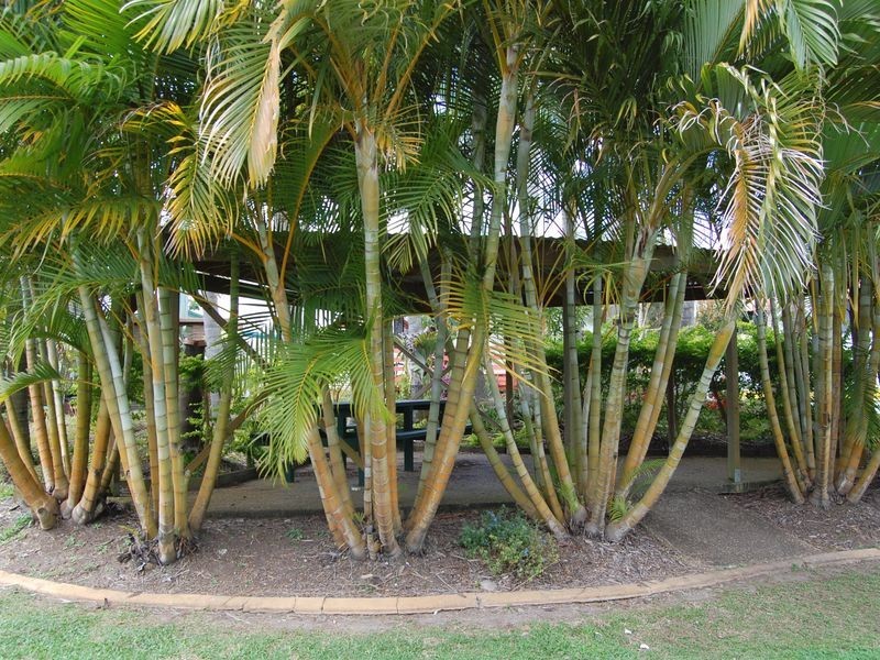 Site 133 Chinderah Rd, Chinderah NSW 2487