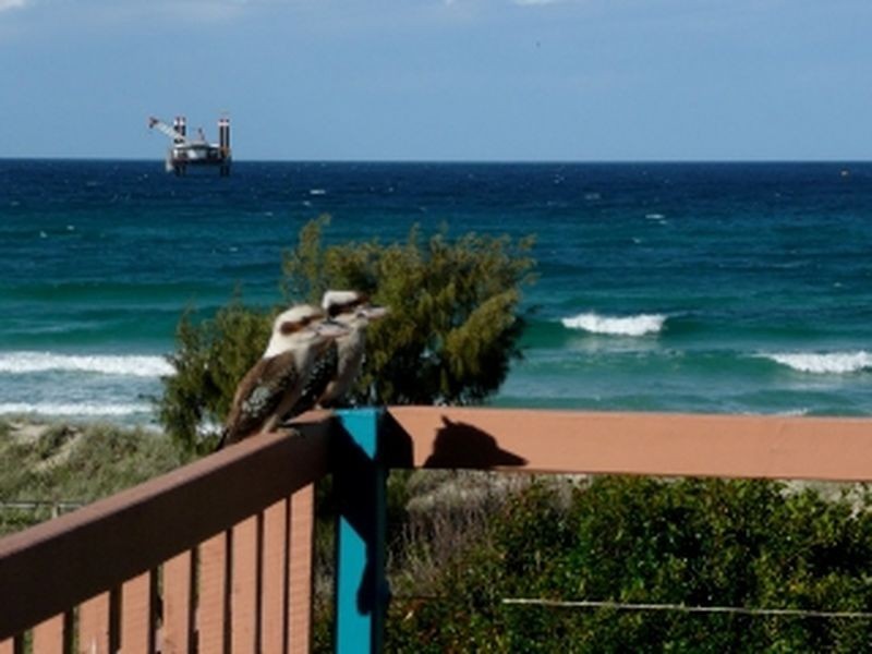 ABSOLUTE BEACHFRONT GOLD COAST, Bilinga QLD 4225