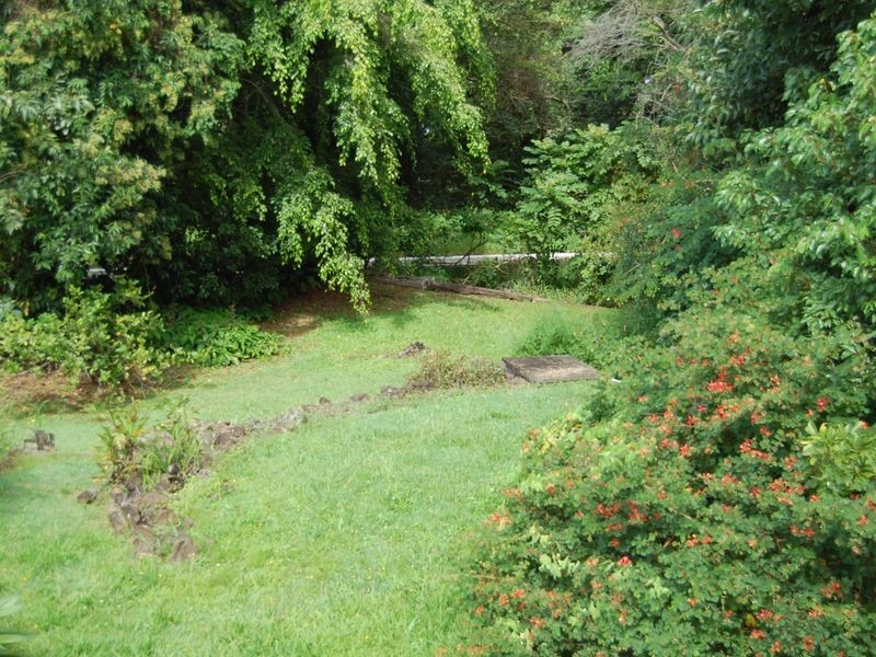 81 Lakeview Terrace, Bilambil NSW 2486