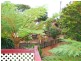 66 Oyster Point Road, Banora Point NSW 2486