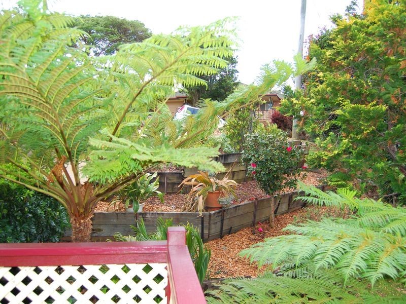 66 Oyster Point Road, Banora Point NSW 2486