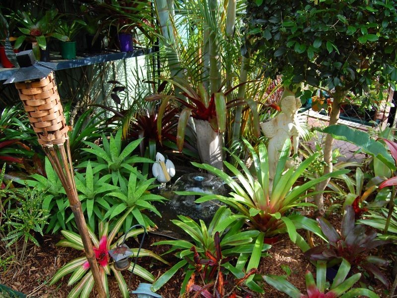 Tweed Heads South NSW 2486