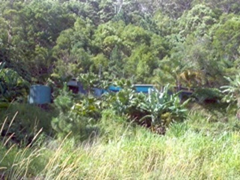 Piggabeen NSW 2486